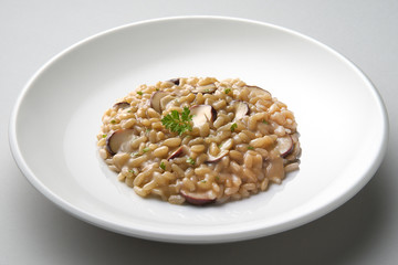 Dish of risotto with porcini mushrooms