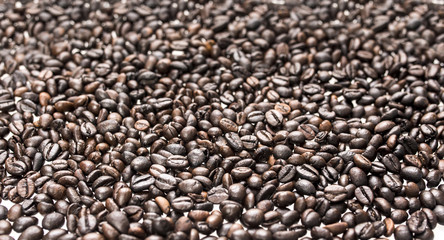 coffee background