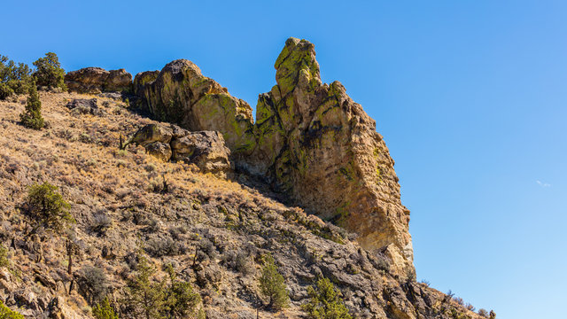 Lonely tree growing between rocks. Beautiful landscape of yellow sharp cliffs. Smith Rock state park, Oregon