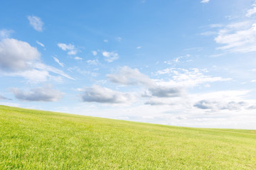 Obraz premium grass field under blue sky
