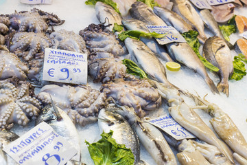 Variety of fish and seafood on local greece market.