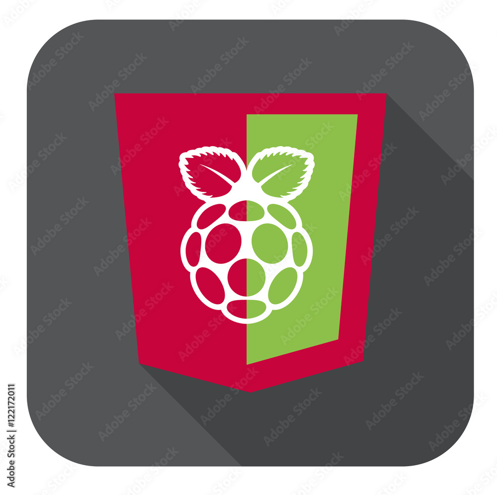 Poster vector illustration of red and green html5 shield with white raspberry shape, isolated web site deve