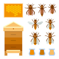 Beekeeping set. Bee, honey, bee house, honeycomb