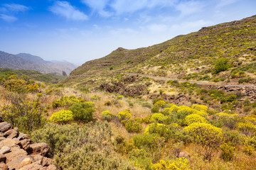 Mountain cover of the island Gran Canaria. Spain