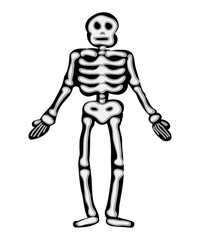 halloween skeleton vector symbol icon design.