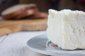 Traditional indian cheese panneer prepared form fresh milk on plate