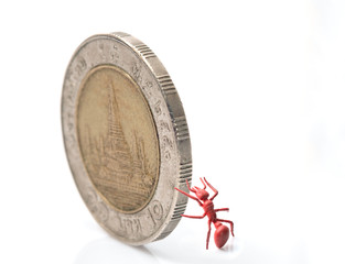 Ant / View of toy ant pushing coins on white background.