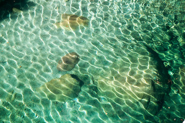 Clean and clear rock pool water