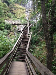 Fototapeta na wymiar Amicalola Falls Stairway to Heaven