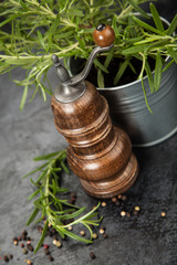Pepper grinder on dark background