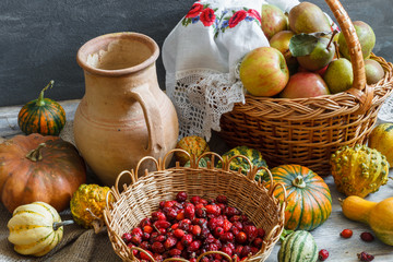 Still life in a rustic style. Autumn collection. Harvest. Natural light from the window.