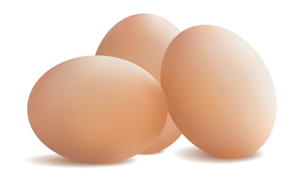 Fresh chicken eggs. Vector illustration .