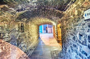 Obraz premium Edinburgh, View of the city, several monuments and the Castle, 