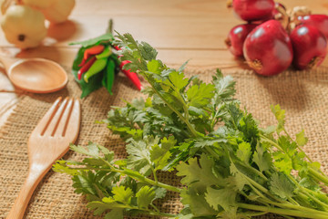 Coriander