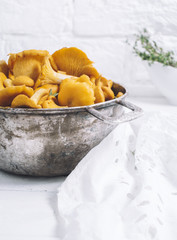 Chanterelles on vintage white wooden background top view, healthy food on table mockup, orange mushrooms isolated on rustic country board, fresh forest nutrition mock up closeup, copy space for text