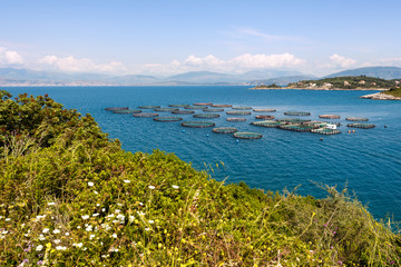 Fototapeta na wymiar Fish farming near Kassiopi town. Corfu Island. Greece.