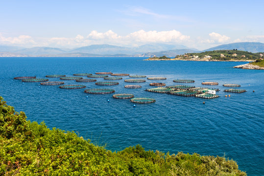 Fish farming near Kassiopi town. Corfu Island. Greece.