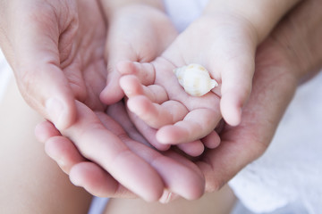 Hand Holding Shell