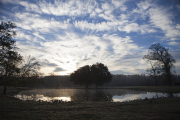 Morning Pond with Clouds