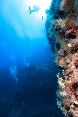 Divers, Mediterranean sea.