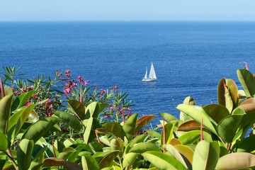 Segler vor Insel Elba