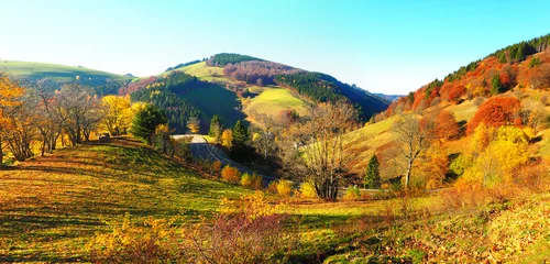 Schwarzwald Landschaft im Herbst mit Blätter und buntem Laub © ExQuisine