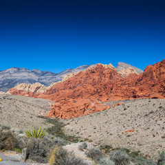 Death Valley and Red Rock Canyon Road Trip