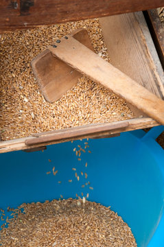 Bowls of a wooden grain separator where the wheat seeds are collected