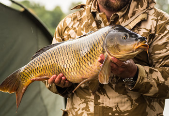 Obraz premium Happy angler with carp fishing trophy