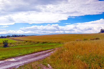 Bobr River valley, Lower Silesia, Poland © borzywoj