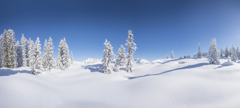 Verschneite Winterlandschaft