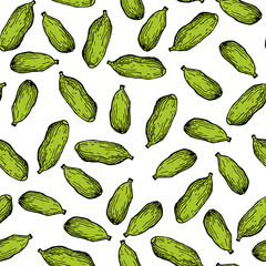 Cardamom vector hand drawn seamless pattern. Isolated spice obje