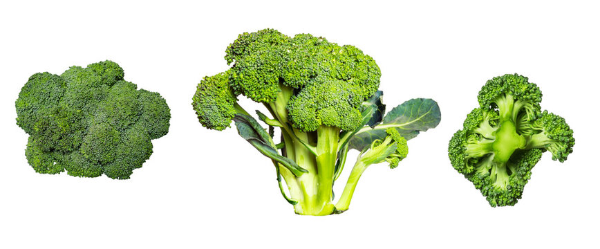 Set of ripe broccoli isolated on white background.