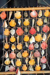 Colorful seashells hanging on a fishing net