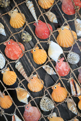Colorful seashells hanging on a fishing net
