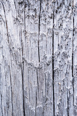 Old cracked surface of a wooden board.