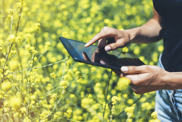 Hipster texting message on tablet computer, mockup of blank empty screen. Girl traveler using gadget on yellow flowers background close. Female hands photographer take view on cell camera