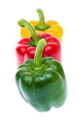 Colored paprika (pepper) isolated on a white background