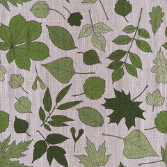 Seamless pattern with green leaves of various trees on beige textured background: chestnut, birch, linden, alder, oak, aspen, maple, ash, box elder, poplar.