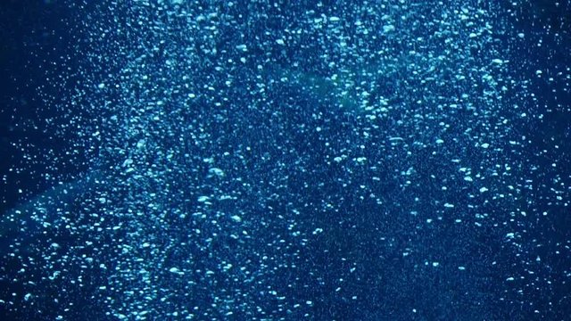Underwater Bubbles Rising 03 Slow Motion 96fps