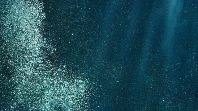  Underwater Bubbles 96fps 03 Slow Motion x4 Tropical Fishes