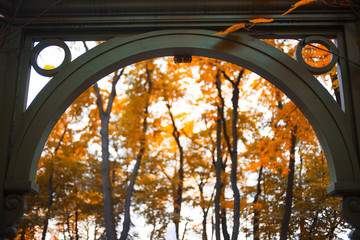 Gates in autumn. Beautiful gazebo surrounded by leaves, landscape