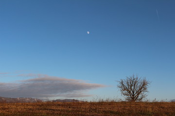 Paesaggio di campagna