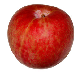 Eine Pluot