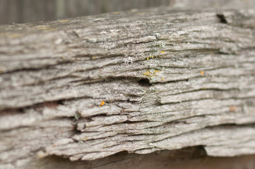 Weathered Wood Closeup