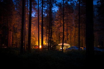 Forest Camping by Firelight