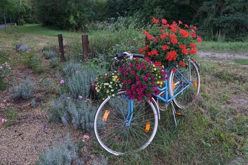 Fototapeta na wymiar abgestelltes blaues Fahrrad mit Blumenschmuck