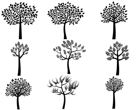 Vector Collection of Black Tree Silhouettes in Flat Style