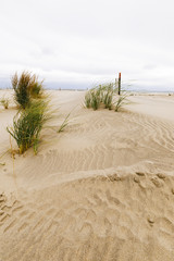 White sand dunes with a fence and grass.