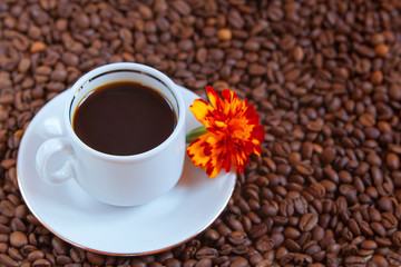 coffee milk top view